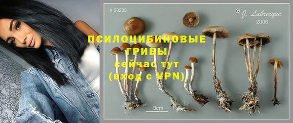 mdpv Баксан