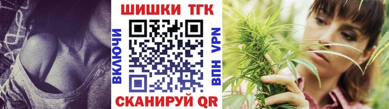 Канабис планчик Зубцов
