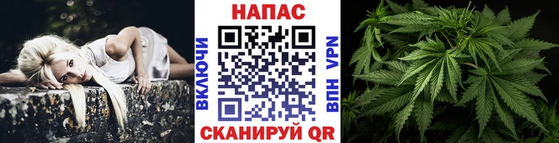 Шишки марихуана индика  Зубцов 